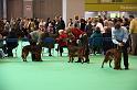 Crufts2010 1390